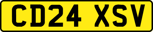 CD24XSV