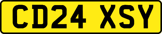 CD24XSY