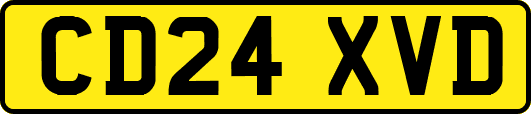 CD24XVD