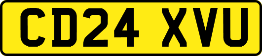 CD24XVU