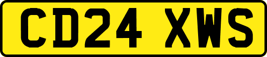 CD24XWS