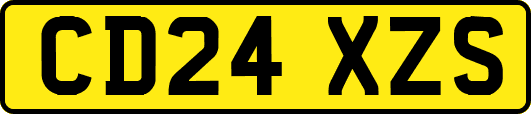 CD24XZS