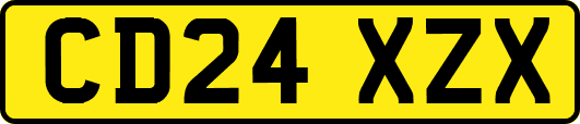 CD24XZX