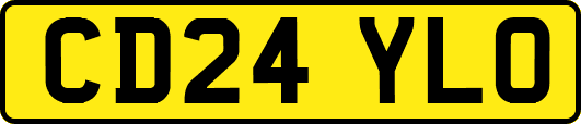 CD24YLO