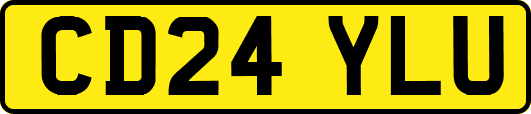 CD24YLU