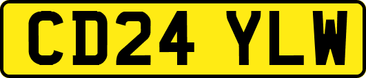 CD24YLW