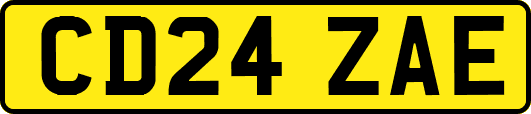 CD24ZAE