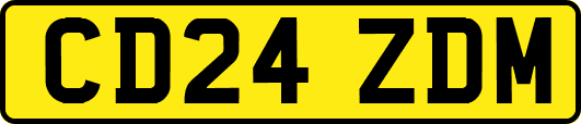 CD24ZDM