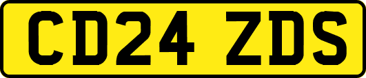 CD24ZDS