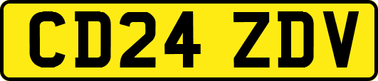 CD24ZDV