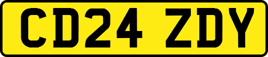 CD24ZDY