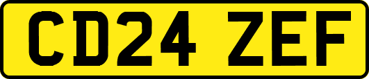 CD24ZEF