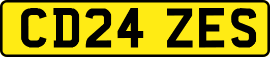 CD24ZES