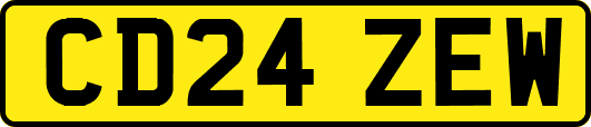 CD24ZEW
