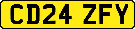 CD24ZFY
