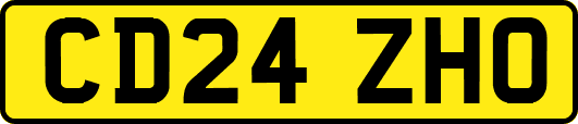 CD24ZHO