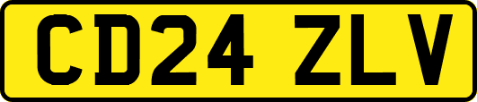 CD24ZLV
