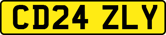 CD24ZLY