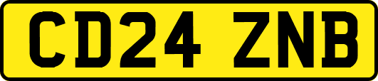 CD24ZNB