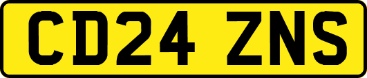 CD24ZNS