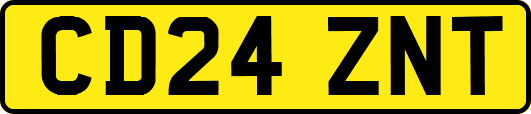 CD24ZNT