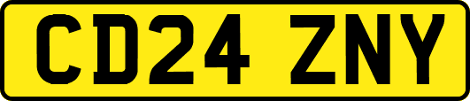 CD24ZNY