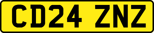 CD24ZNZ