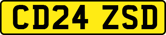 CD24ZSD