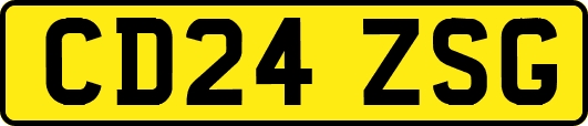 CD24ZSG