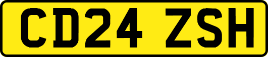 CD24ZSH