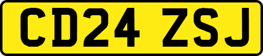 CD24ZSJ