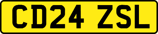 CD24ZSL