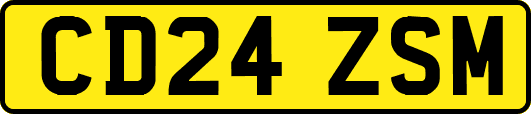 CD24ZSM