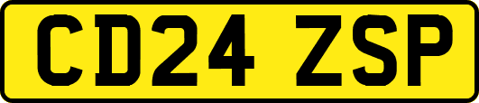 CD24ZSP