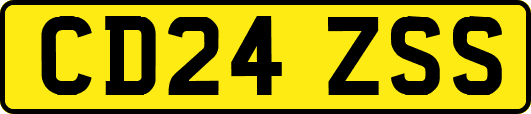 CD24ZSS