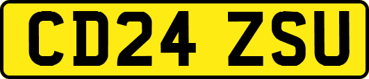CD24ZSU