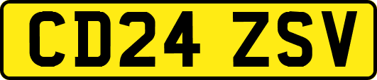CD24ZSV