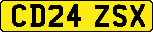CD24ZSX