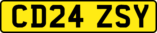 CD24ZSY