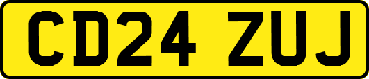 CD24ZUJ