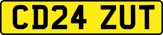 CD24ZUT