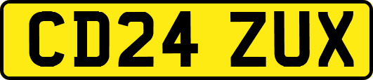 CD24ZUX