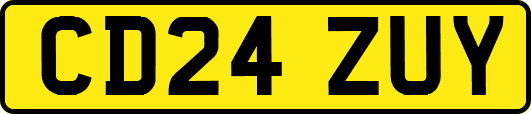 CD24ZUY