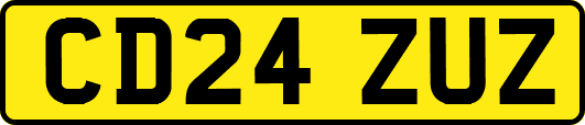 CD24ZUZ
