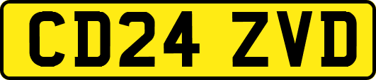 CD24ZVD
