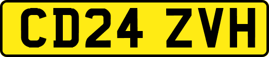 CD24ZVH