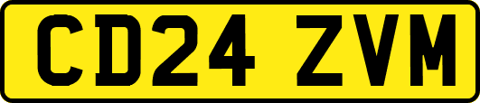 CD24ZVM