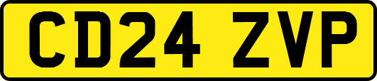 CD24ZVP