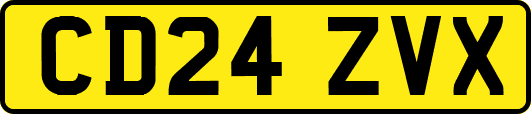 CD24ZVX