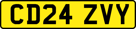 CD24ZVY